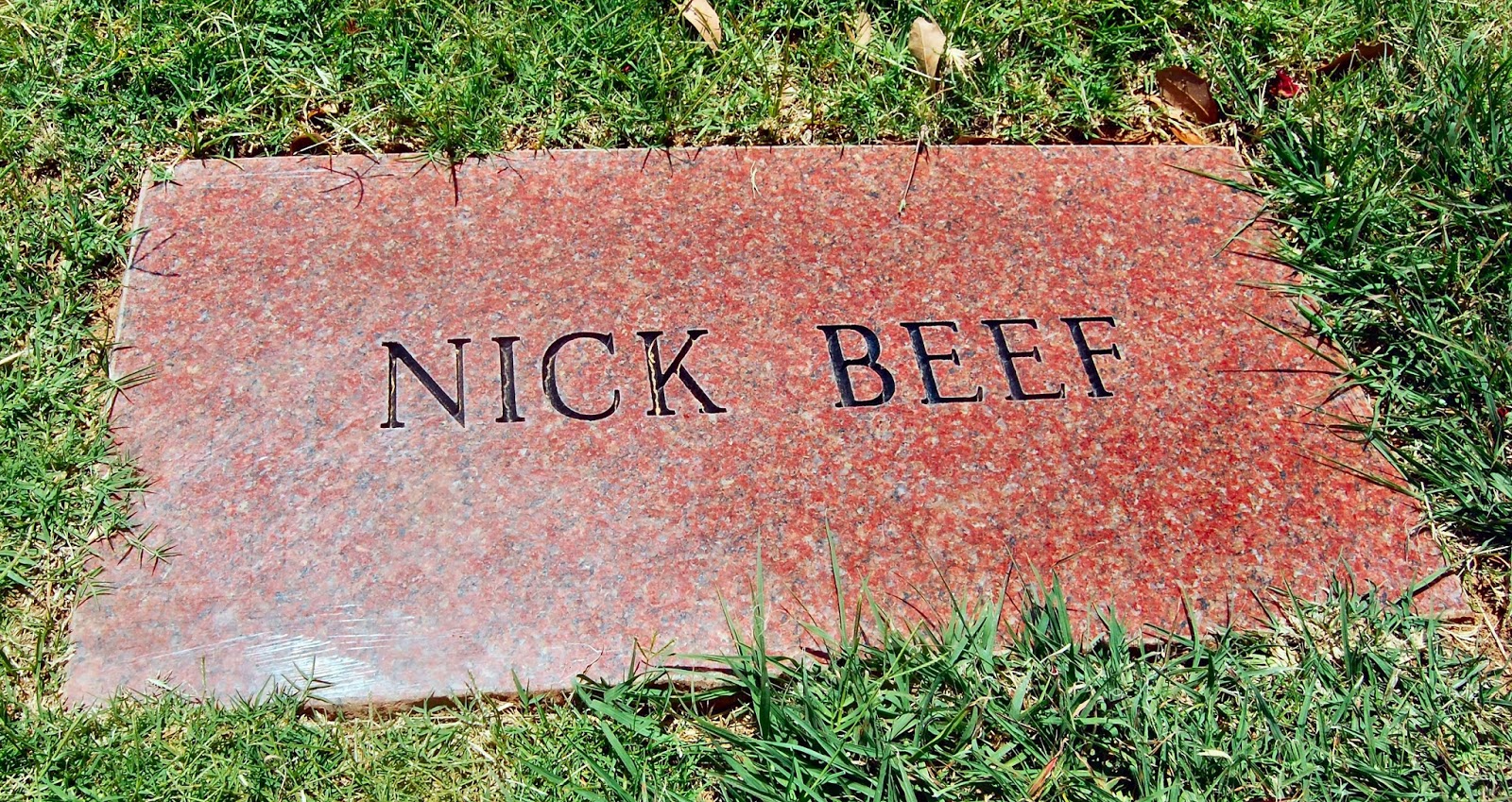 Life as I see it THE MYSTERY OF NICK BEEF
