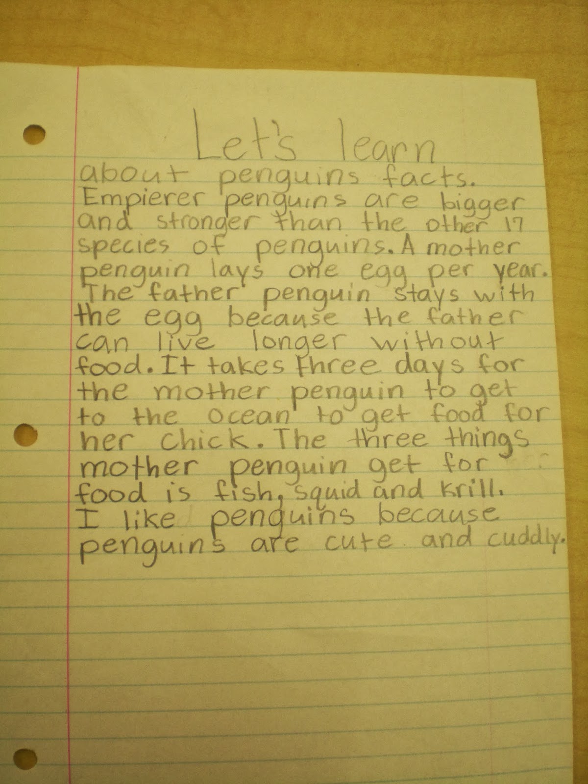 Penguin habitat image