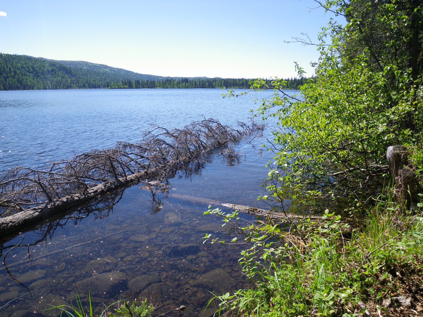 Alaskan Brothers Byers Lake Trail