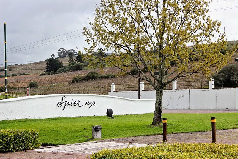 Spier wine estate Stellenbosch, South Africa 
