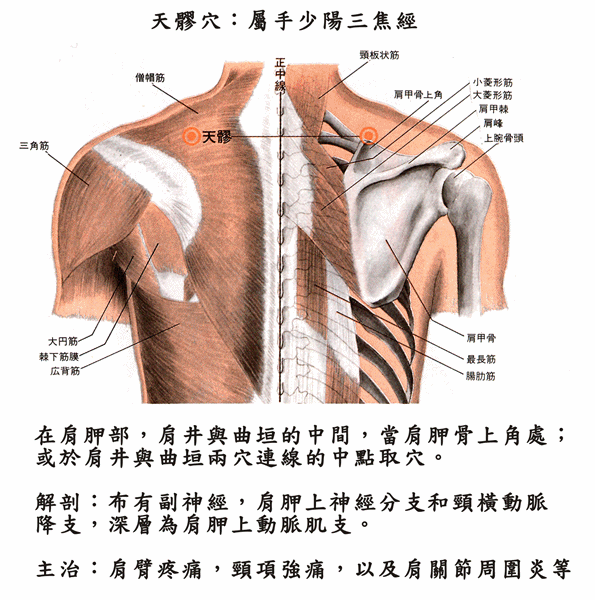 五月美穴_黑子的篮球桃井五月_桃井五月邪恶本子_色 ...