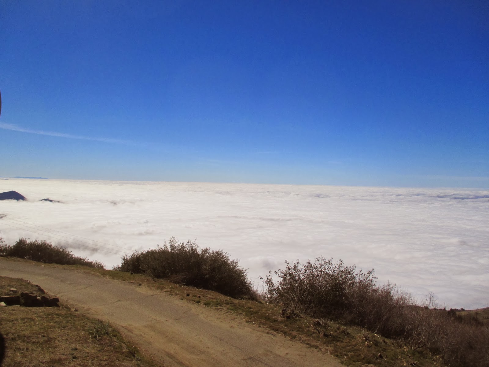 Hiking in Southern California Palomar Mountain State Park
