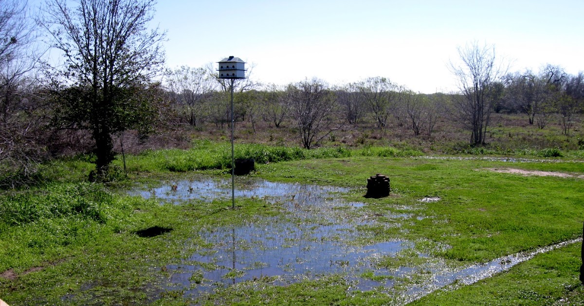 Two Men and a Little Farm WATER LOGGED YARD