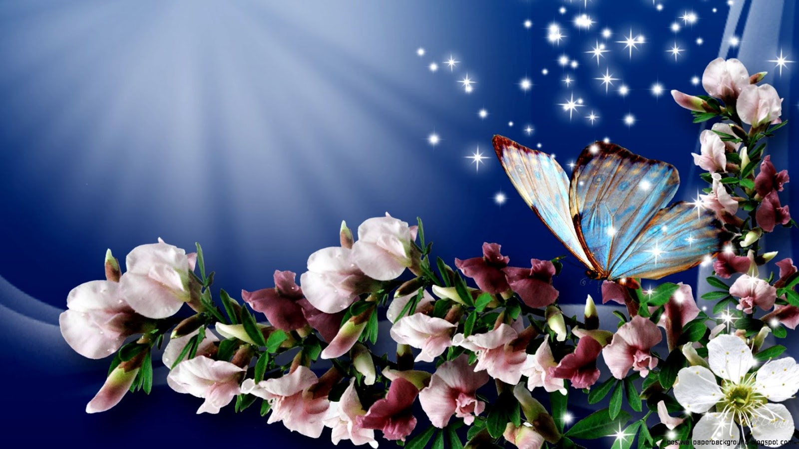 Beautiful Spring Flowers and Butterflies Beautiful Spring Flowers and Butterflies