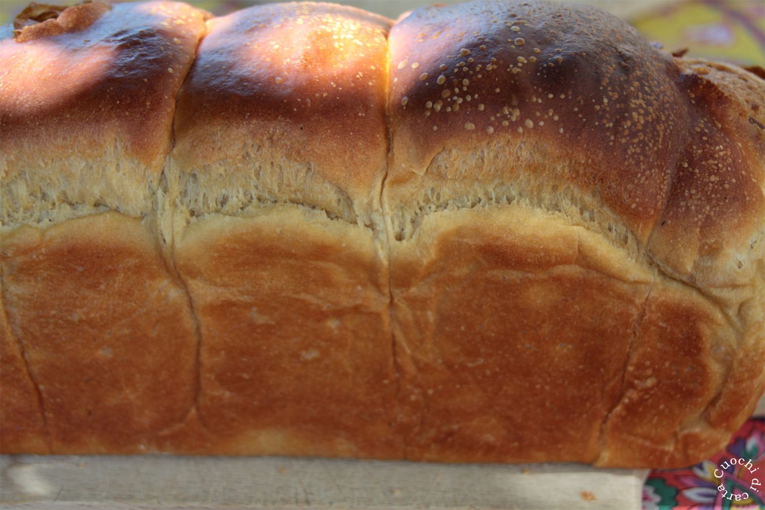 Cuochi di carta Pan brioche vegano