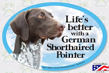 FOR THE LOVE OF GERMAN SHORTHAIR POINTERS