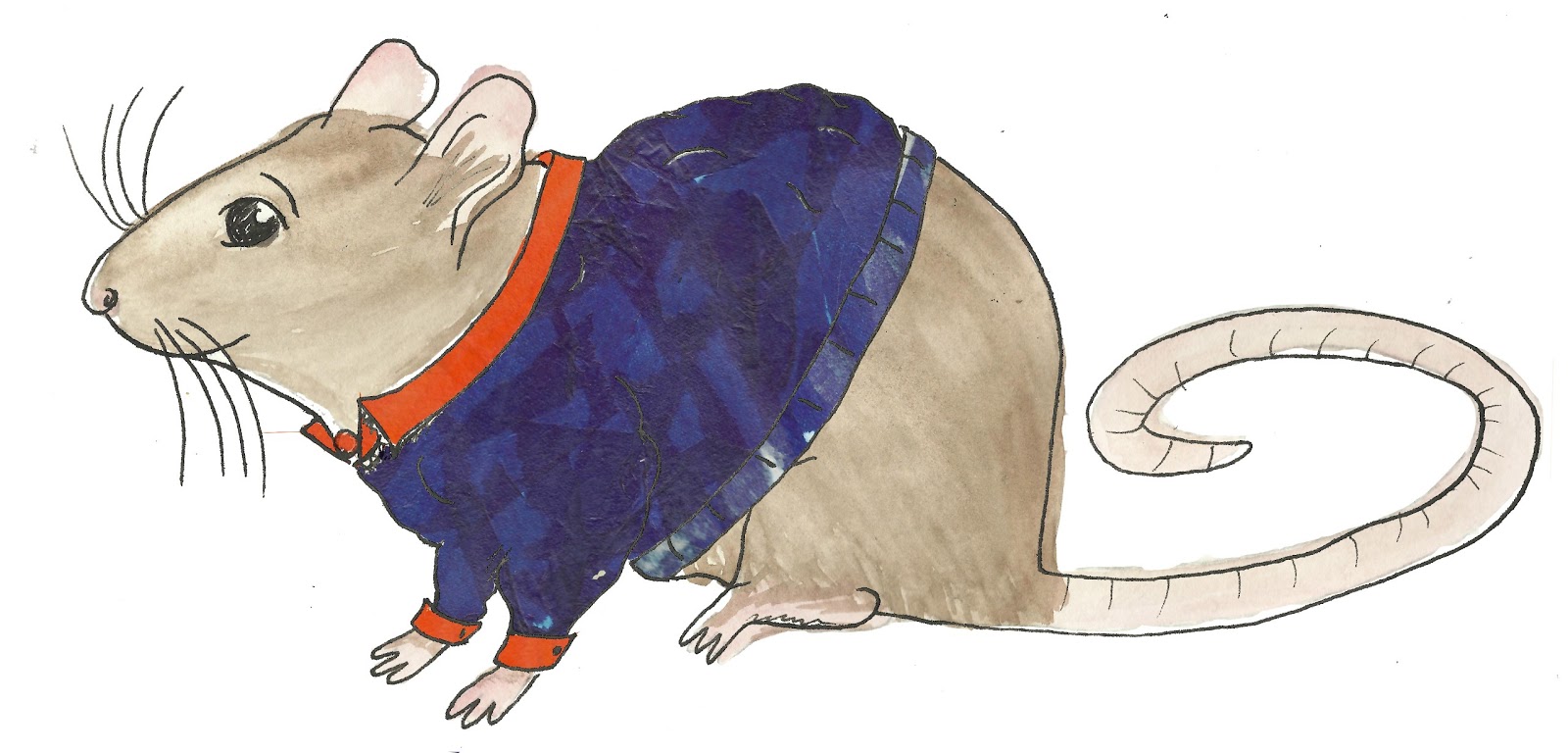 rufus the mole rat rufus the mole rat