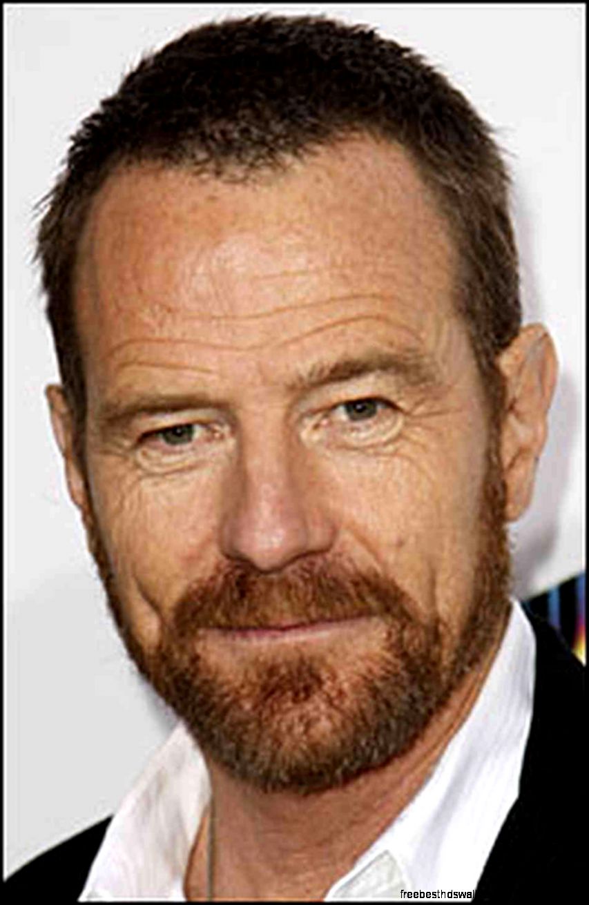 Bryan Cranston POP Psychology 101 Bryan Cranston POP Psychology 101