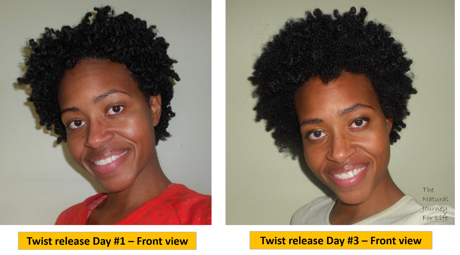 The Natural Journey For Life The Hair Journey Chunky Afro Dry