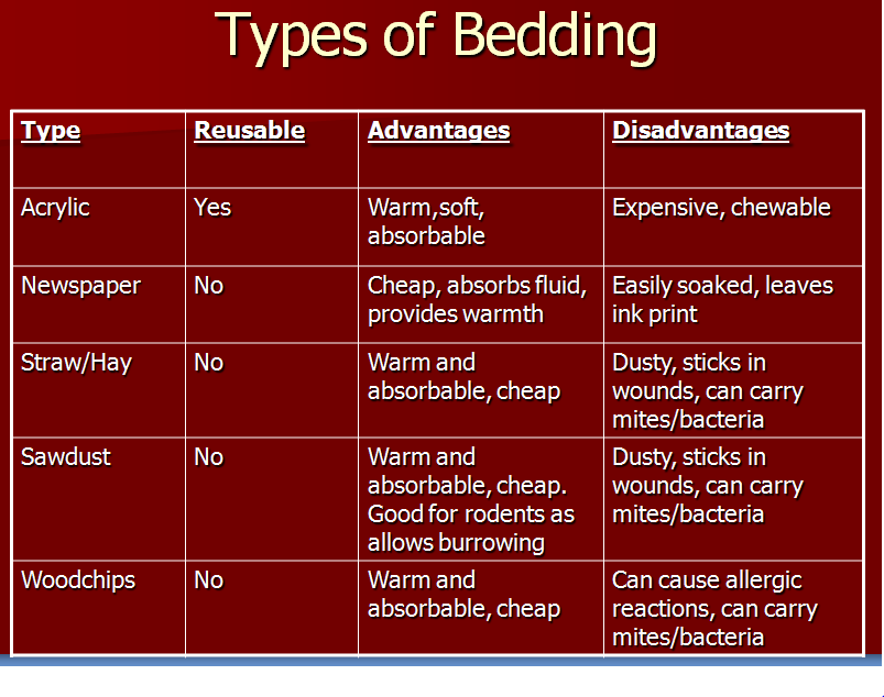 Animal Care PLC Animal Welfare Housing Needs