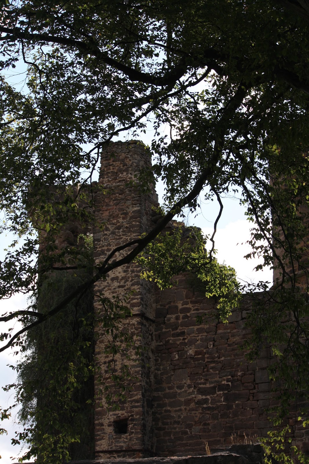 Campingplatz Im Harz Eulenburg Camping