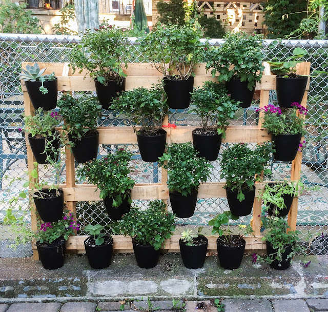 The Lazy Man's Vertical Pallet Garden Brooklyn Limestone
