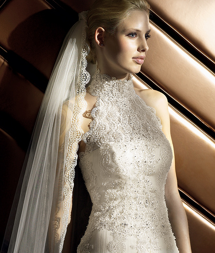 Wedding Dresses Pictures