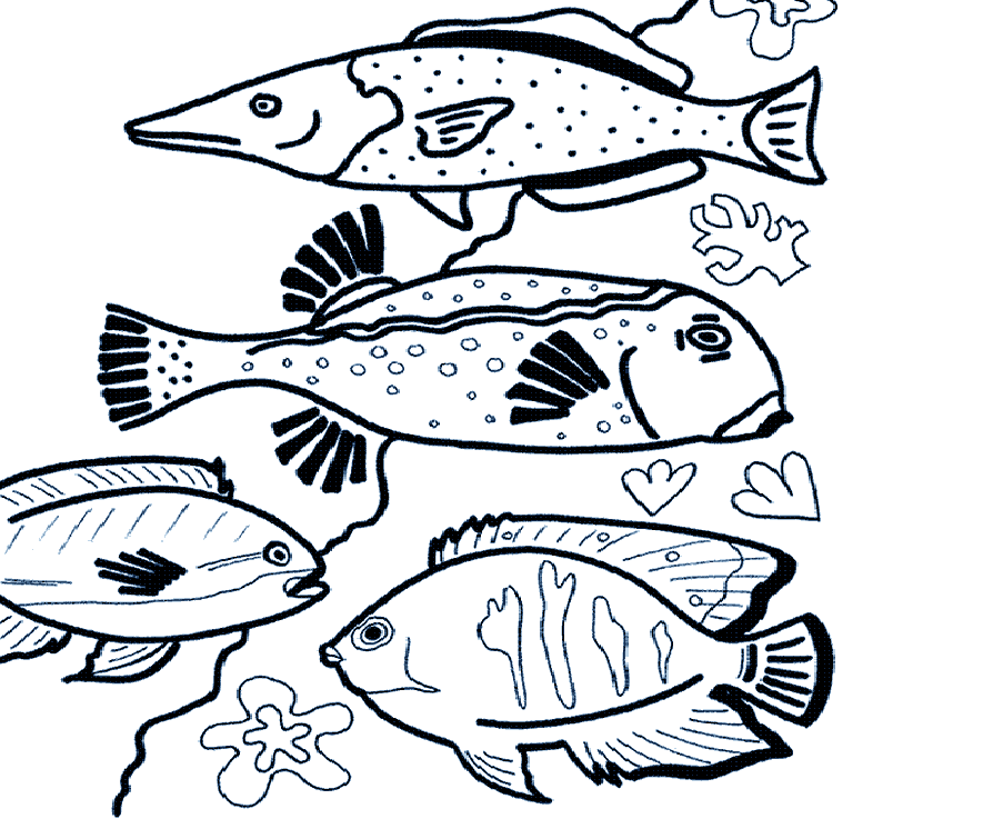 Beautiful Fishes Coloring Drawing Free wallpaper