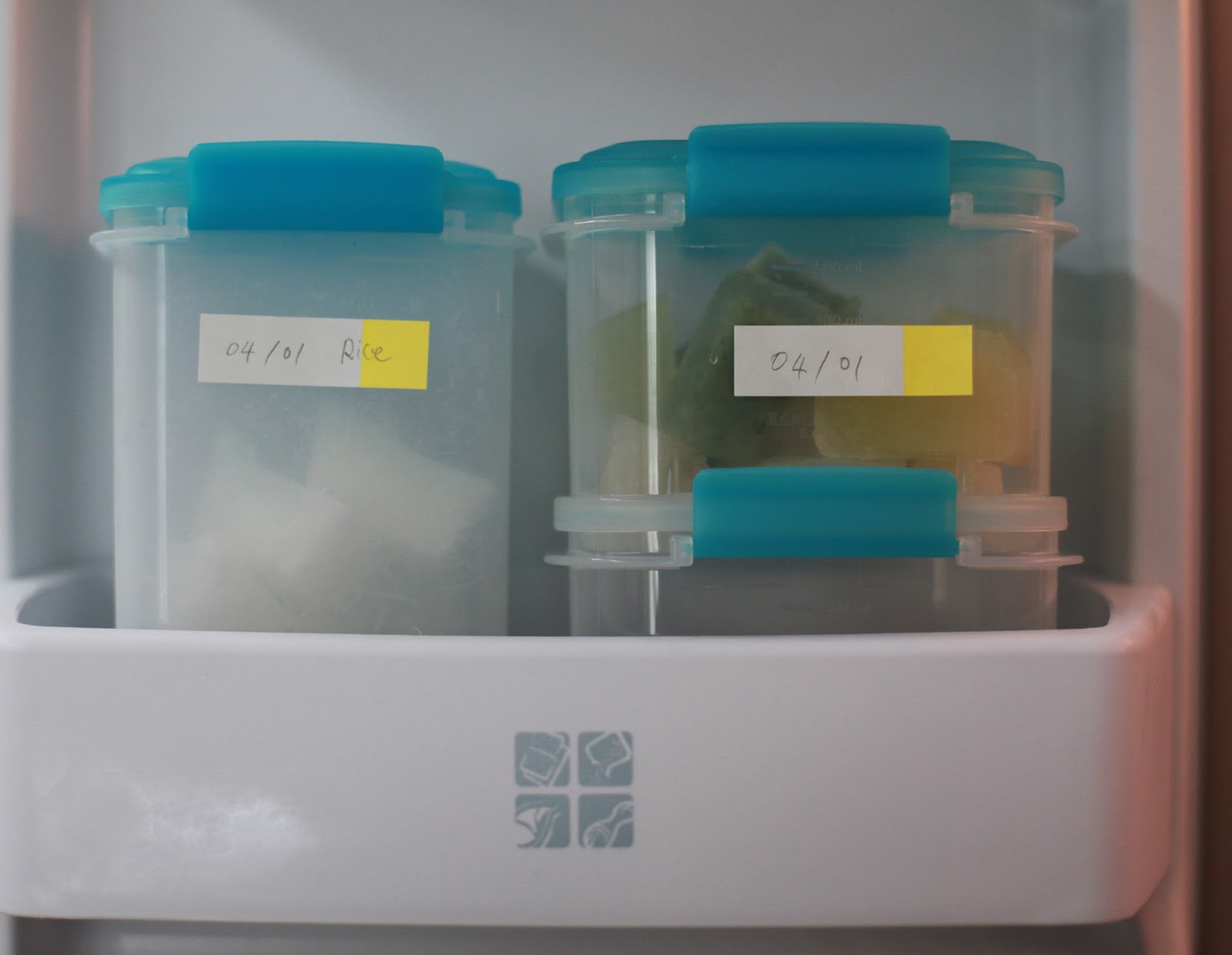 Homemade Baby Food Storage Idea Ii