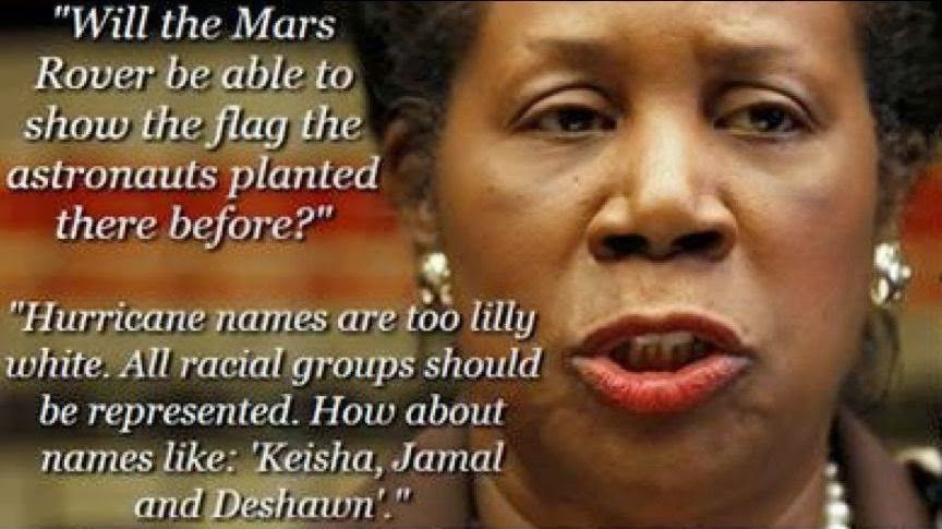 sheila-jackson-lee-is-an-IDIOT-119621022390.jpeg