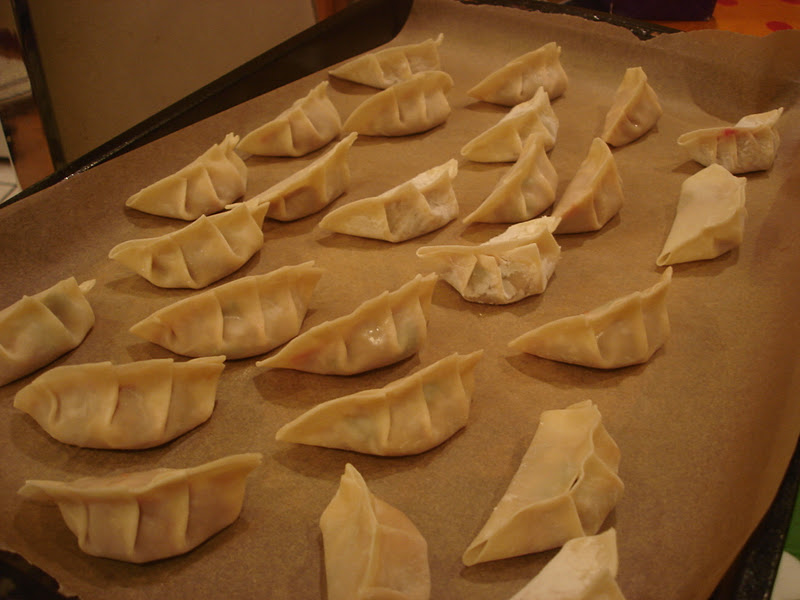 A Kitchen In Brooklyn Sasha's Kitchen Beef Dumplings with Napa Cabbage