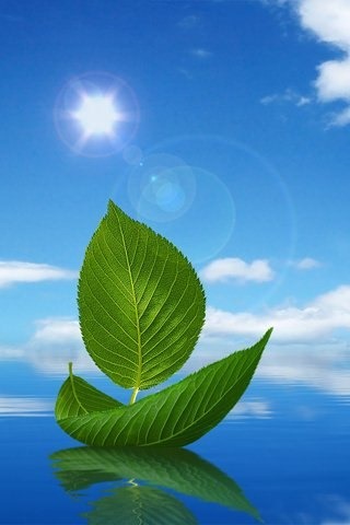 uneedallinside mobile phones wallpaper wallpapers for latest mobile wallpaper sites