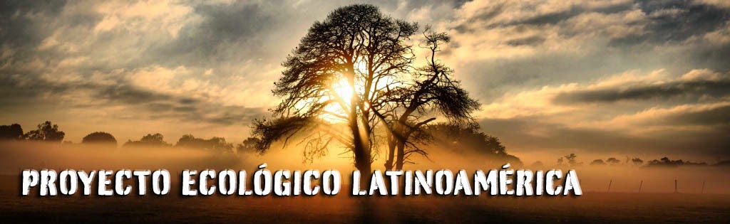 Proyecto Ecológico Latinoamérica