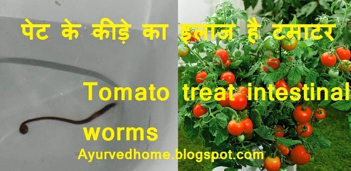 Intestinal Worms Home Remedies with Tomatoes  पेट के कीड़े का इलाज है टमाटर  Pet Ke Keedo Ka Theek Kare Tamatar Dwara