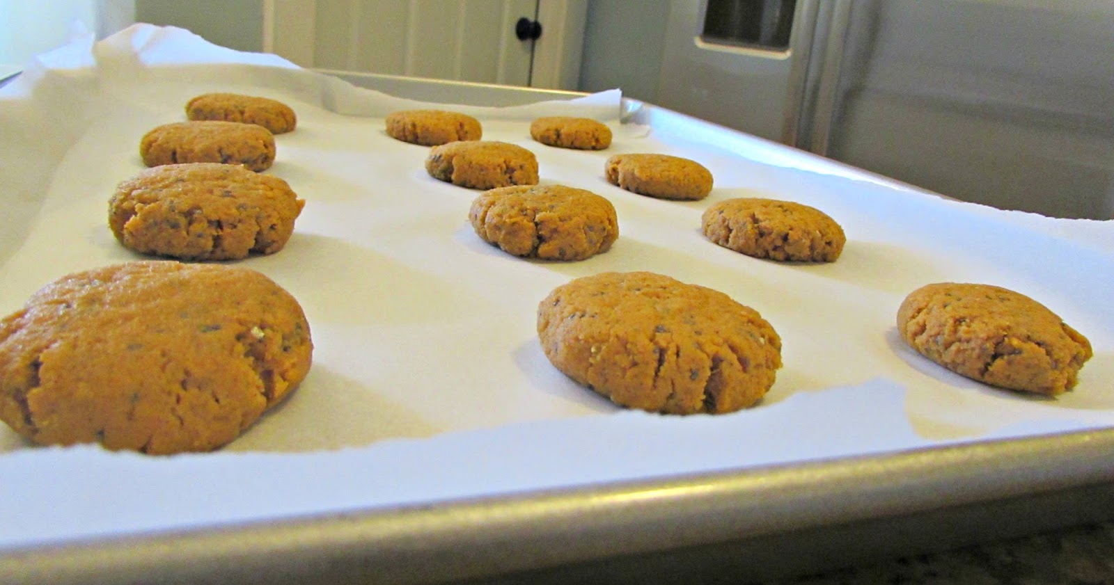 Chicago Jogger Pumpkin Chia Breakfast Cookies