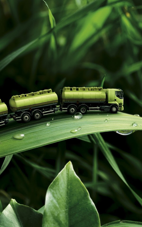 Green Train On Leaves Android Wallpaper