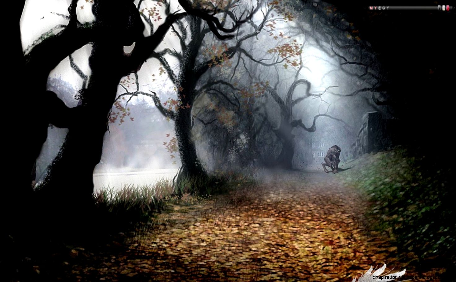 Free Wallpapers Windows Hd Wallpapers Free Download Free Wallpapers Windows Hd Wallpapers Free Download