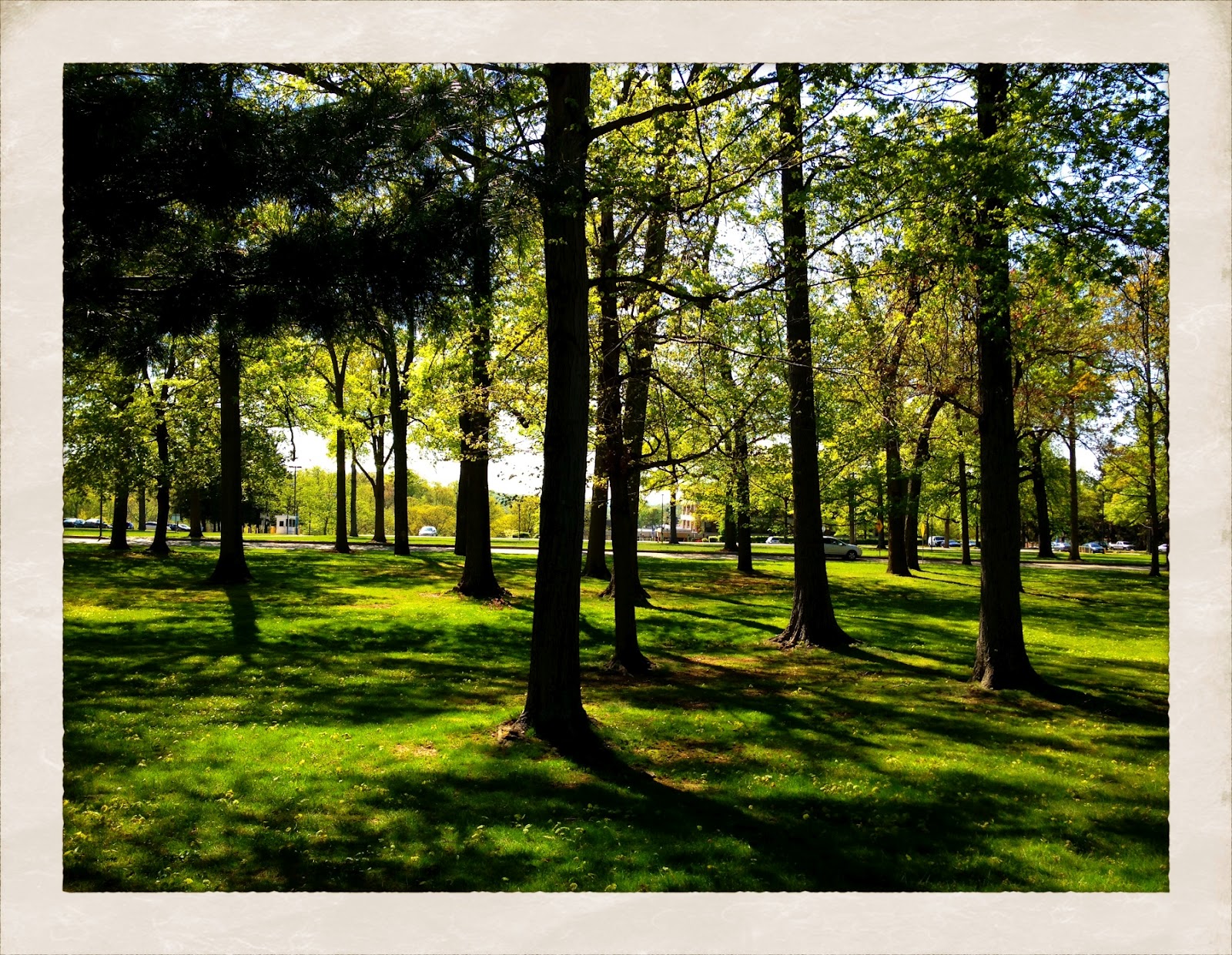Utahredrock: Westchester Medical Center, Valhalla, New York.
