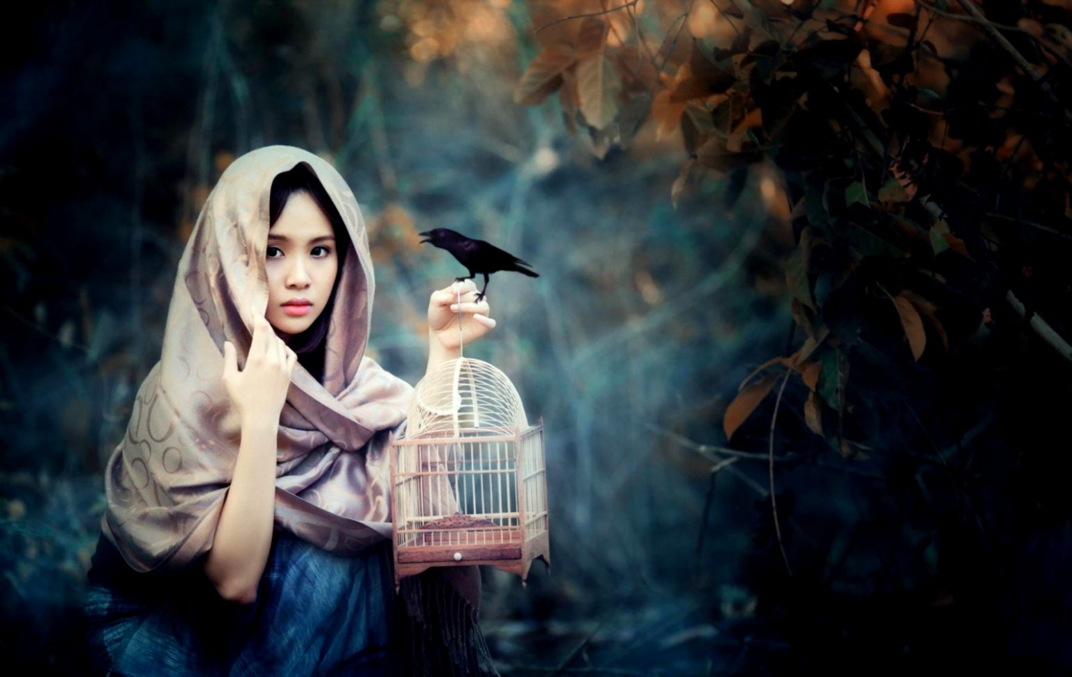 Girl Bird Cage HD Wallpaper FreeWallsUp Girl Bird Cage HD Wallpaper FreeWallsUp