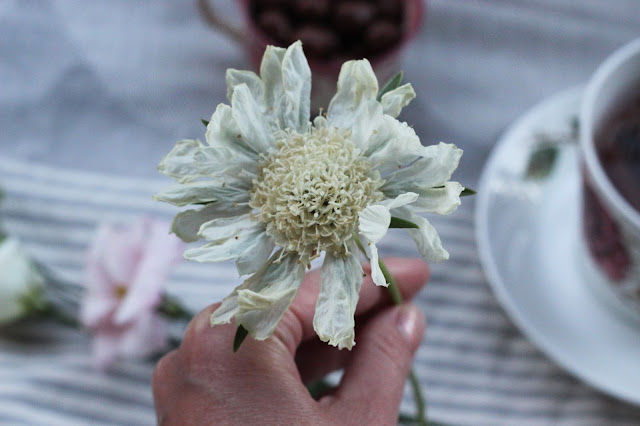 Frukost och kvällstankar. 6 7 Frukost och kvällstankar.