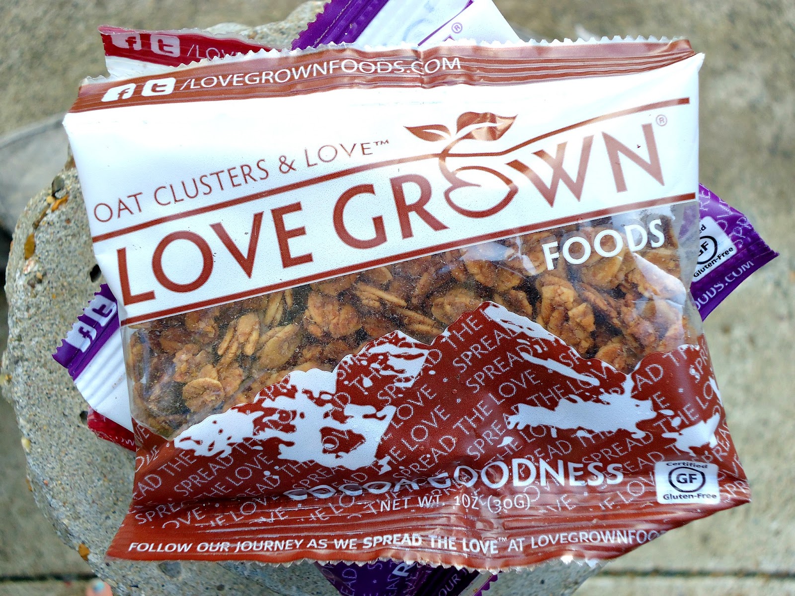 Graceful Eats Love Grown Granola Love + Wild Squirrel Nut Butter