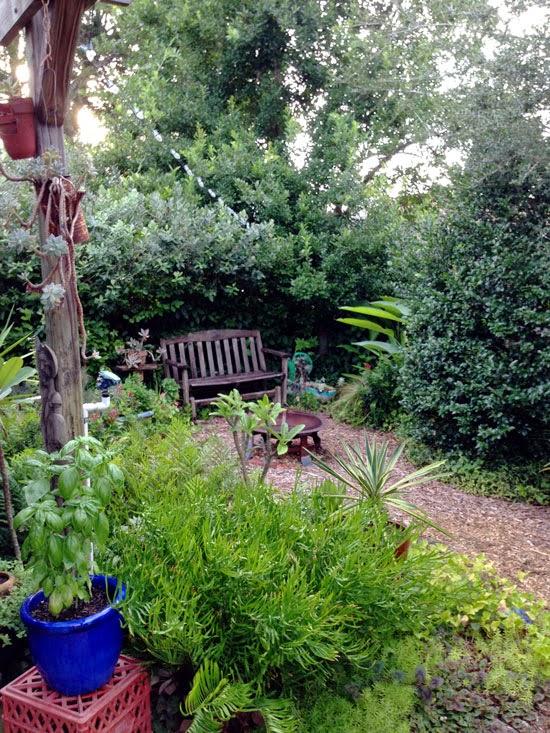 The Rainforest Garden How To Design Your Own Garden 12 Easy Tips