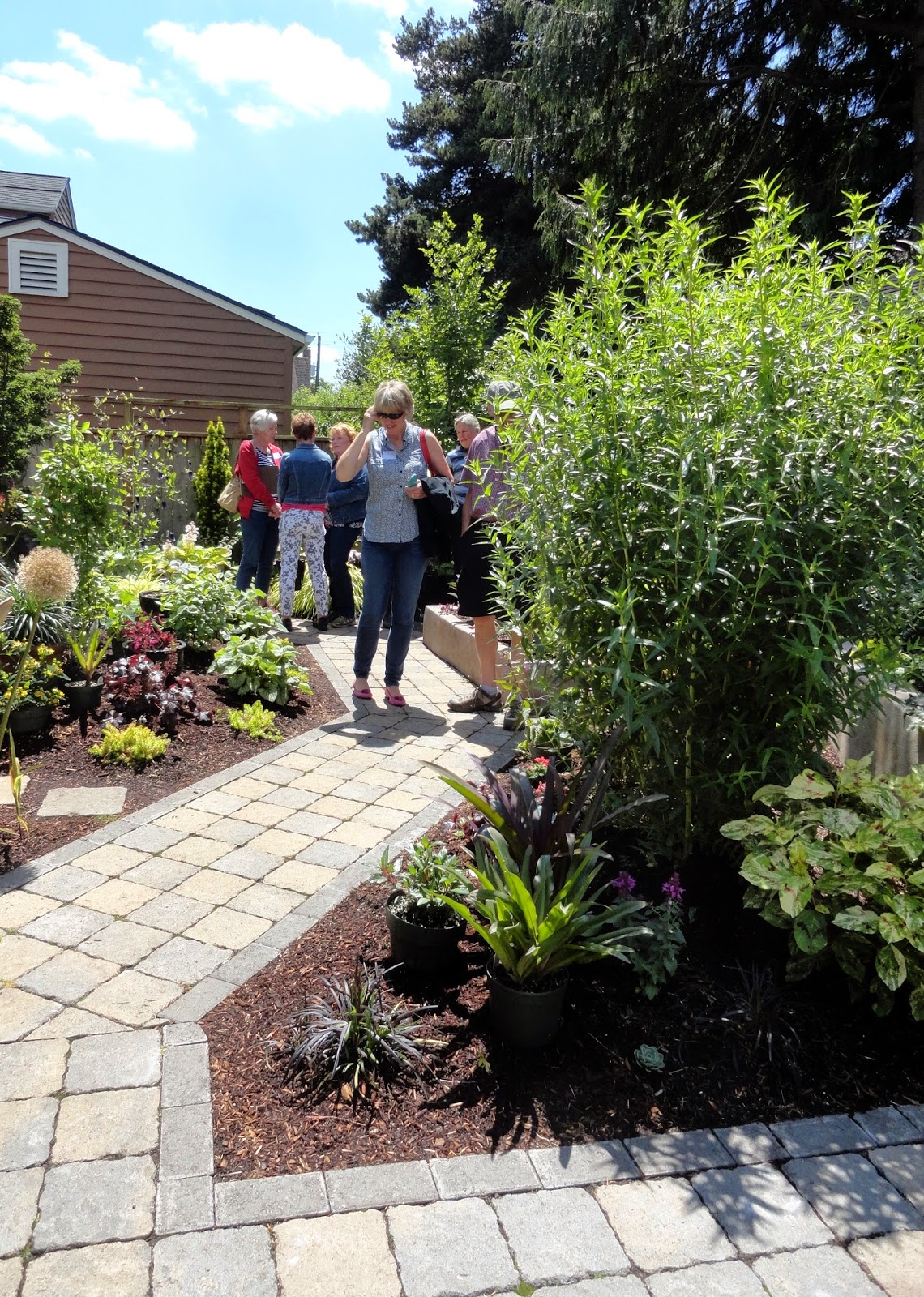 Denver Landscape Plants Weigela