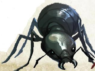 D D Consigli Per Dungeon Master 19 Mostri Giant Ant Formica Gigante