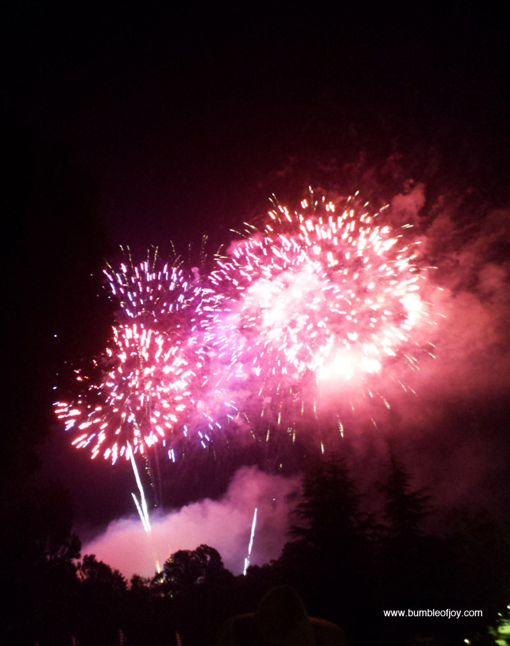 bumble of joy Vacation in Williamsburg, Virginia.