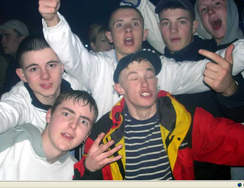 Chav Dog