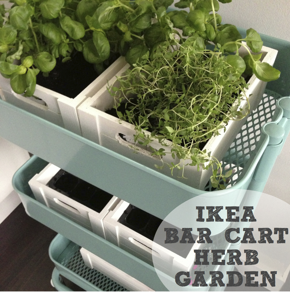 Pinterest Challenge Bar Cart Herb Garden