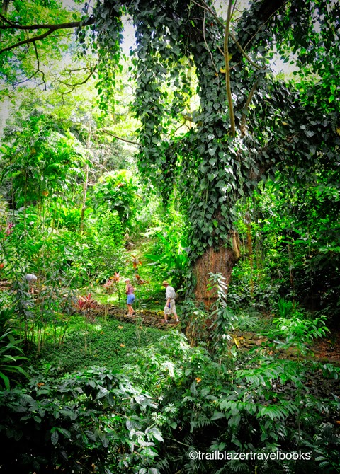 Trailblazer Hawaii Kauai S Mcbryde Garden Eden Preserved
