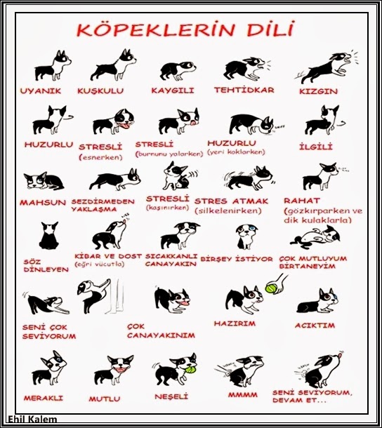 Ehil Kalem 31 Mar 2014