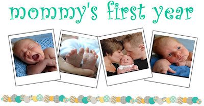 Mommy S First Year The Mombo Nursing Pillow Vs The Boppy