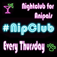 NipClub