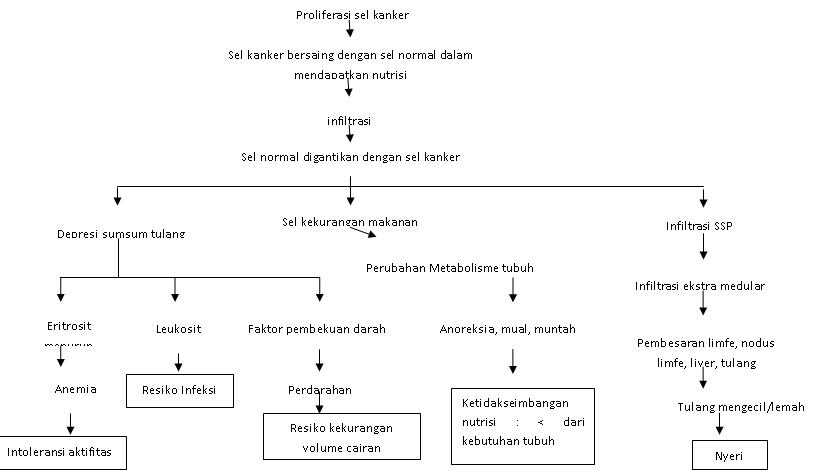 Lp Gerontik Asam Urat