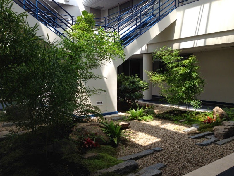 Redesigning and Clean Up of Corporate Interior Office Plant Zen Garden , Peabody, MA