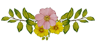 طريق الصحة إعتقادات خاطئة حول الريجيم