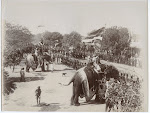 Elephants+in+Delhi+Durbar+Procession+-+1903
