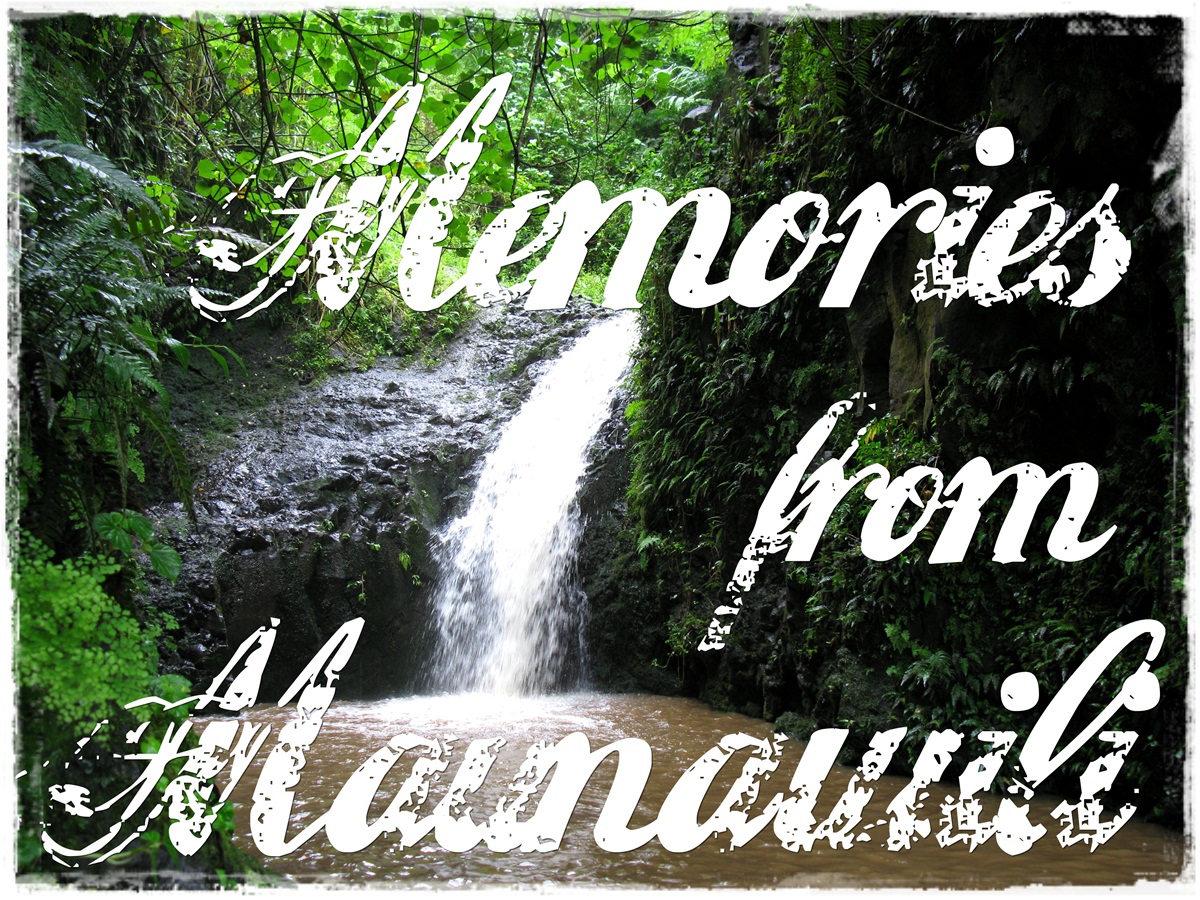 Maunawili Falls Blog