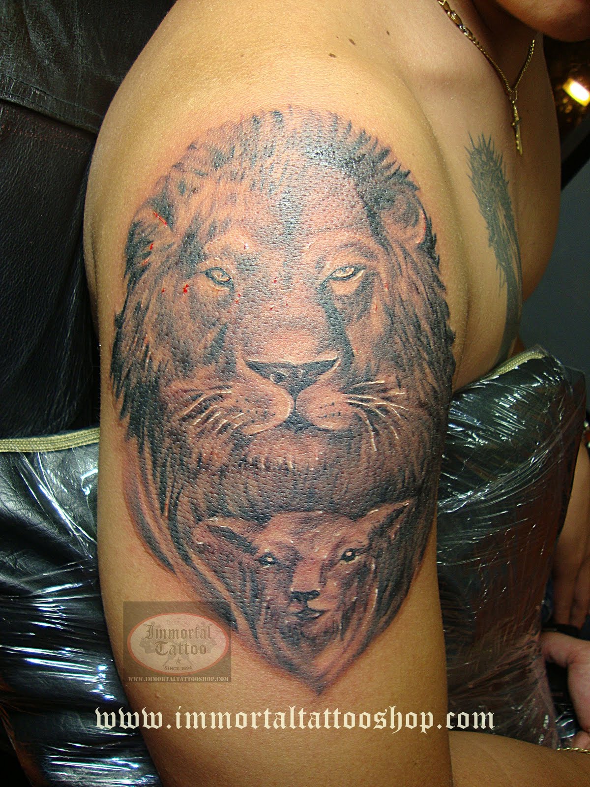Sick Lion Tattoos