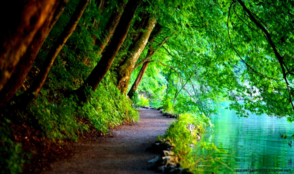 HD Wallpapers 1080p Nature HD Wallpapers Backgrounds of Your Choice HD Wallpapers 1080p Nature HD Wallpapers Backgrounds of Your Choice