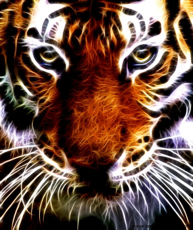 Tattfaes Nook Wallpapers Wallpapers for your Nook Tablet Nook Tattfaes Nook Wallpapers Wallpapers for your Nook Tablet Nook