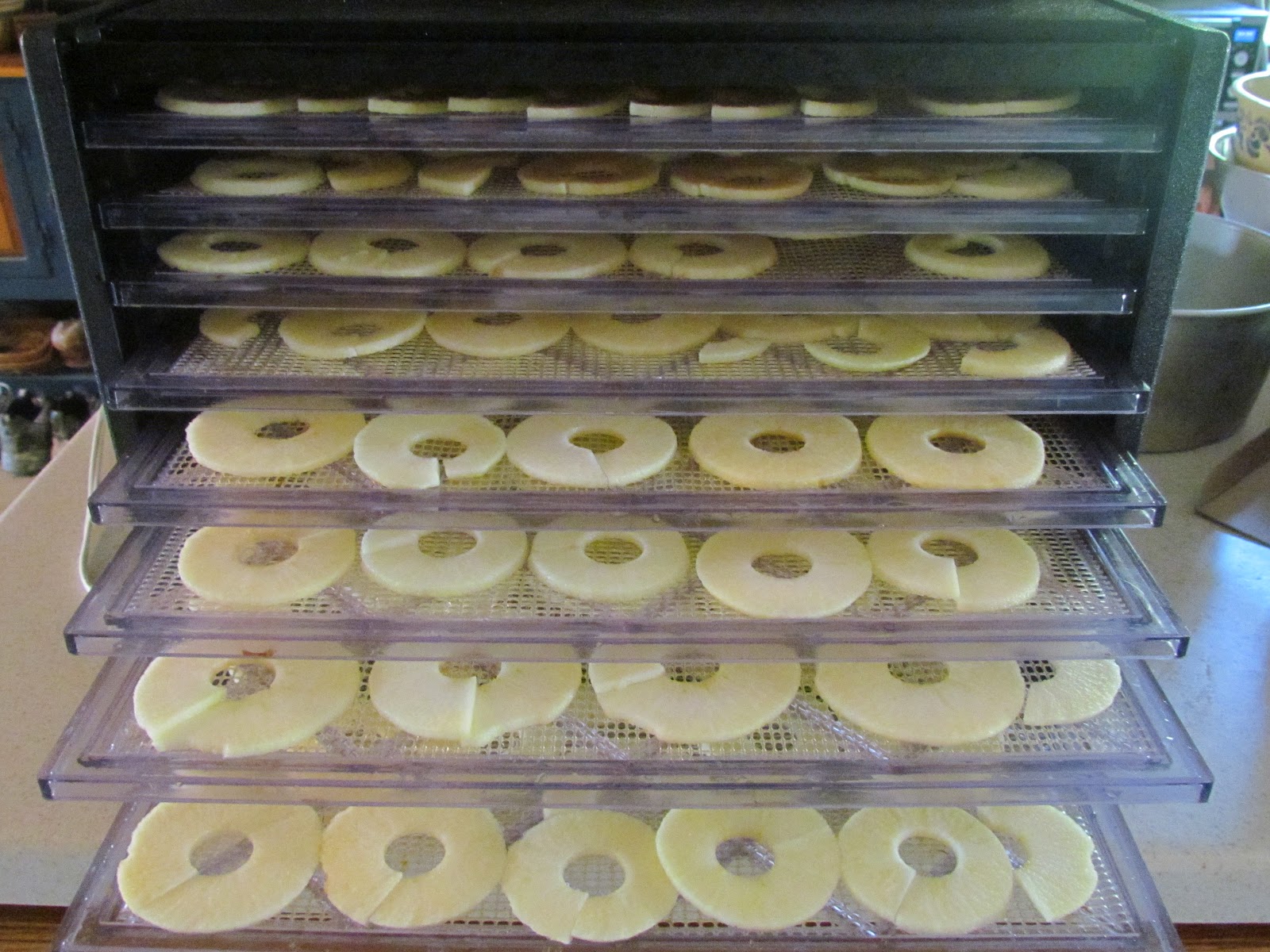 Mia's Kitchen Dehydrated Apples